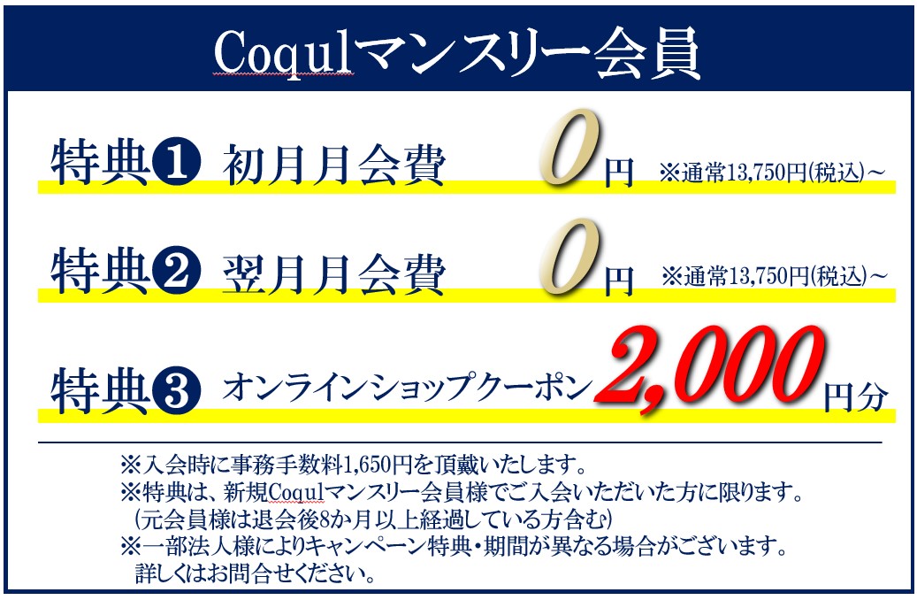 夏の法人キャンペーン